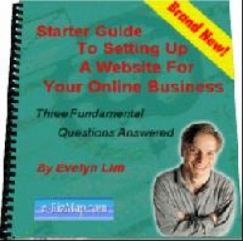 Product picture Starter guide to setting up a web site!